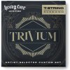 Dunlop Trivium String Lab Guitar Strings 10-63 7-String