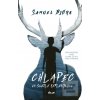 Chlapec vo svetle reflek… (Samuel Bjørk)