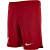 Šortky Nike LFC M NK DF STAD SHORT HM 2022/23 dj7745-608 Veľkosť XL