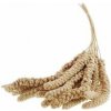 Apetit senegalské Proso v klasoch žlté 0,1 kg