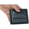Segali pánska kožené dolarovka 1741 black