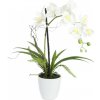Orchidej bílá v dekoračním květináči, 62 cm