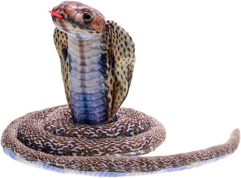 Kobra so vztýčenou hlavou 180 cm