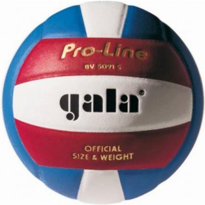 Volejbalový míč GALA Pro-Line - BV 5091 S