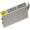 Vision Tech Epson T0548, matte black kompatibil