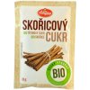 AMYLON Škoricový cukor bio 20 g
