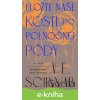 Uložte naše kosti do polnočnej pôdy - V.E. Schwab