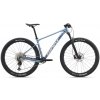 GIANT XTC SLR 29 2 Frost Silver - L/19