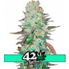 Fast Buds G14 Auto neobsahuje THC 3 semena