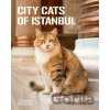 City Cats of Istanbul - Marcel Heijnen