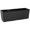 Nohel Garden Truhlica BEGONIA PROUTI plast 56x19x19cm