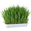 Kerbl tráva pre hlodavce - 100 g
