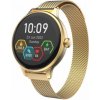 CARNEO Hero mini HR+/Gold/Elegant Band/Gold 8588009299202