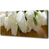 Foto obraz na plátne Biele tulipány 100x50 cm