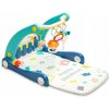 TOYZ PUSHER 2V1 CHODÚĽKA S HUDOBNOU PODLOŽKOU