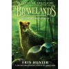 Bravelands: Thunder on the Plains #3: Realm of Lost Spirits