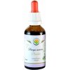 Kvapky Salvia Paradise Bacopa monnieri bez alkoholu 50 ml