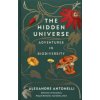 Hidden Universe
