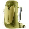 Deuter AC Lite 24 Linden-Cactus 24 l