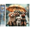 Norimpex diamantové malování Psí rodina pod deštníkem 30 x 40cm