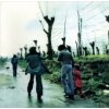 Napoli Centrale - Napoli Centrale / Reissue / Green / Vinyl [LP]