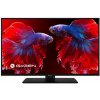 GOGEN TVF22P406STC ( aj 12 V ) televízor LCD-LED