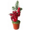 Dekorácia MagicHome Vianoce, Vetvičky v črepníku, s jablkom, 25cm, 2ks