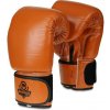 Boxerské rukavice kožené DBX BUSHIDO DBD-B-1 12 oz.
