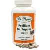 Dr.Popov Psyllium rozpustná vláknina 120 kapsúl