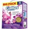 Gallus professional 4 in1 color prášok na pranie 3,05 kg 55 PD