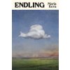 UNTITLED MARIA REVA NOVEL