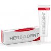 Herbadent PROFESSIONAL Gél na ďasná s chlórhexidínom 25 g