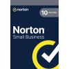 NORTON SMALL BUSINESS ND 2.0 250GB 10 lic. 12 mes.