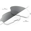 100% NORVIK Replacement Lens - Photochromic Clear / Smoke