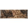 ATG pozadie Korene 200x60 cm