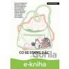 E-kniha Co se stane dál - Michaela Klevisová, Petra Dvořáková, Kateřina Tučková, Irena Hejdová, Anna Bolavá, Dora Čechova, Alena Mornštajnová, Aňa Geislerová, Markéta Pilátová, Viktorie Hanišová