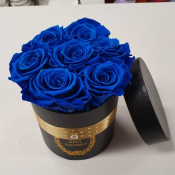 Trvácne ruže Medium Box Modrý od 49,9 € - Heureka.sk