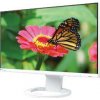 Eizo EV2490