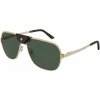 Cartier CT0165S 008