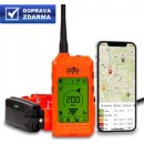 Výcvik psa DOGtrace DOG GPS X30T