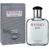 Evaflor Whisky Silver For Men toaletná voda pánska 100 ml
