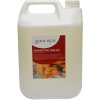 Gaia Spa esencia do sauny Granátové jablko 5 l