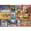 TREFL Animal Planet Divoká příroda 1000 dielov