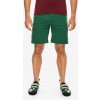 Lezecké kraťasy Ocun Mania Shorty - green dark