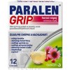 PARALEN GRIP horúci nápoj echinacea a šípky plo por 500 mg/10 mg (vre.PAP/Al/LDPE) 1x12 vrecúšok