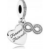 Prívesok Pandora Nerozluční priatelia 791948CZ