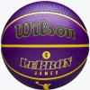 Wilson NBA Player Icon Outdoor Lebron