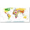 Foto obraz akrylové sklo Mapa sveta 100x50 cm