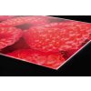 DIMEX | Plexisklo za kuchynskú linku PGT-10060-004 | 100 x 60 cm Maliny + Plexisklo za kuchynskú linku DIMEX v rozmere 100 x 60 cm, Maliny + Lepidlo zadarmo