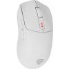 Genesis Zircon 500 NMG-2114